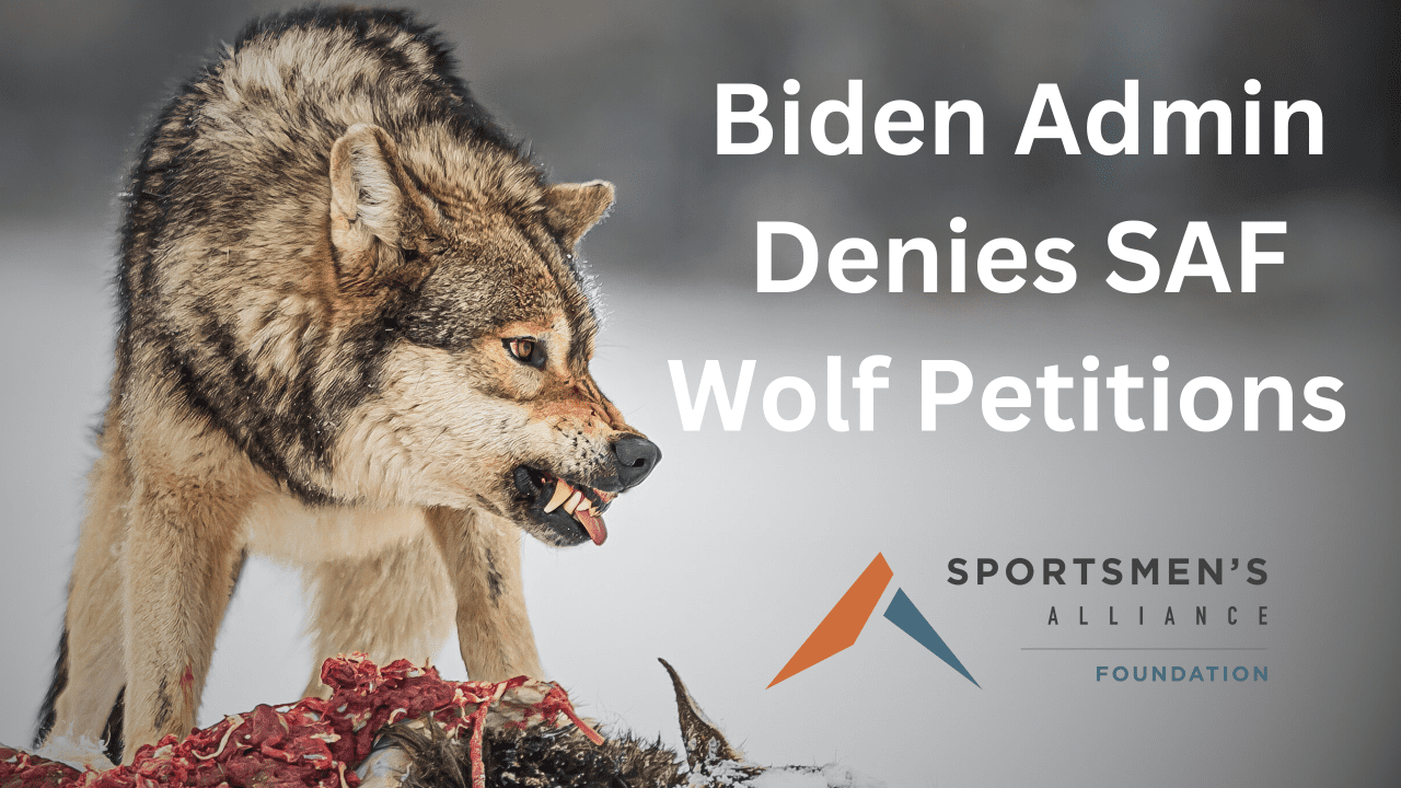 wolf petitions denied