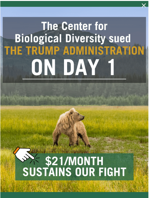 Center for Biological Diversity fundraising for lawsuits against Trump administration